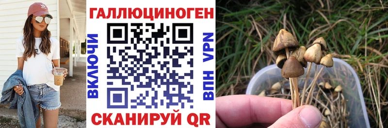 где найти наркотики  Кореновск  Псилоцибиновые грибы мицелий 